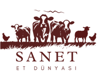 Sanet Group