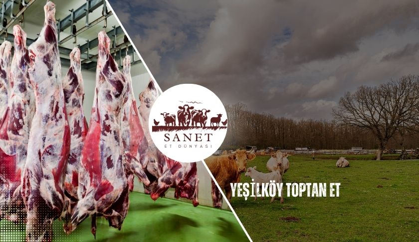 Yeşilköy Toptan Et