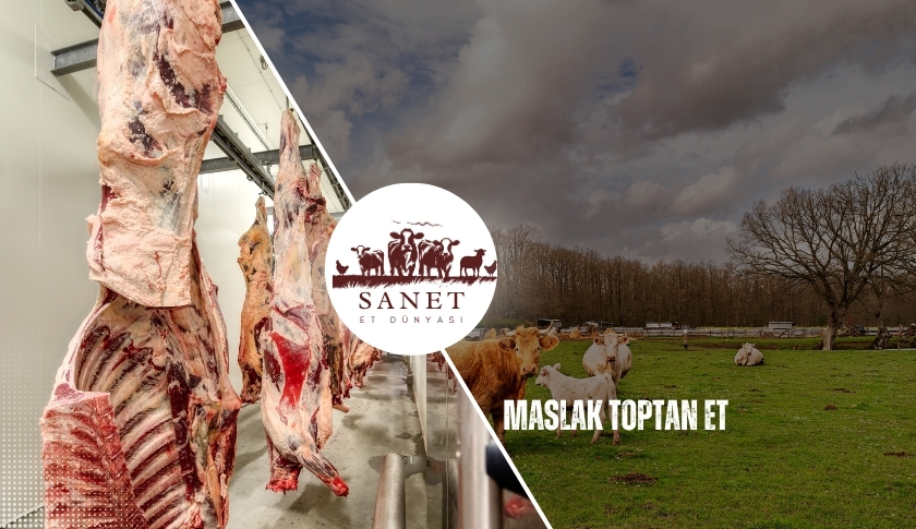 Maslak Toptan Et