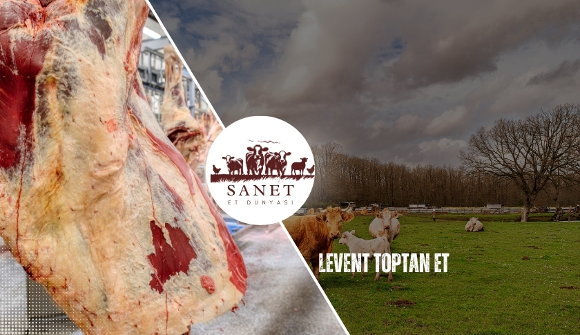 Levent Toptan Et