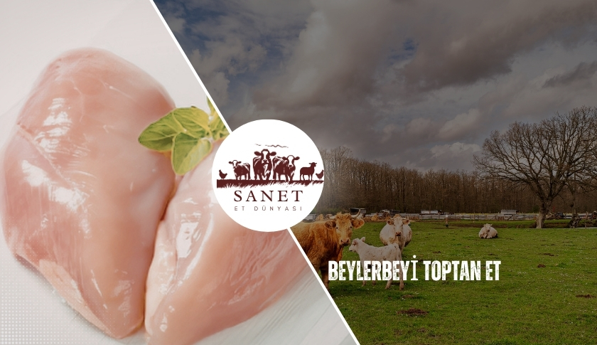 Beylerbeyi Toptan Et