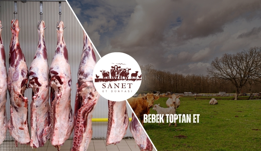 Bebek Toptan Et
