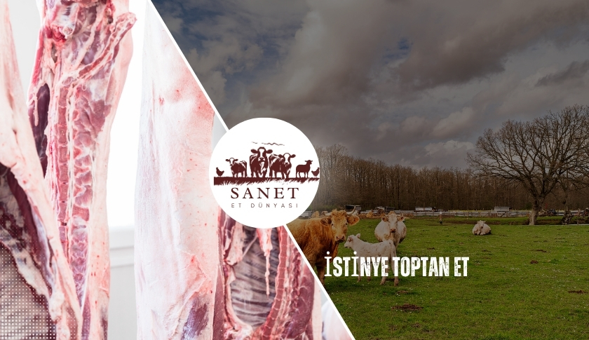 İstinye Toptan Et