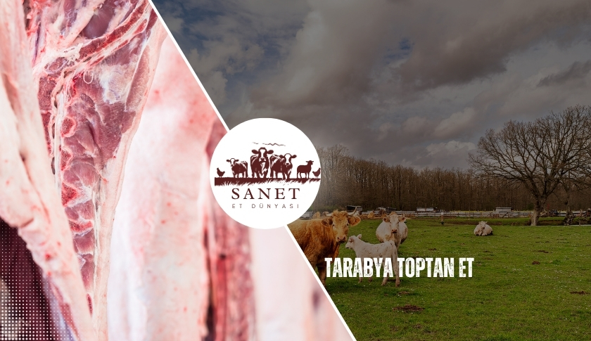 Tarabya Toptan Et