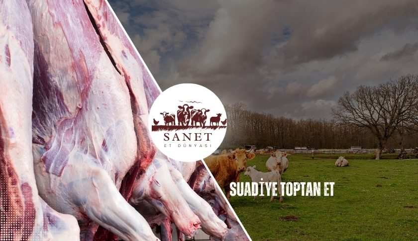 Suadiye Toptan Et