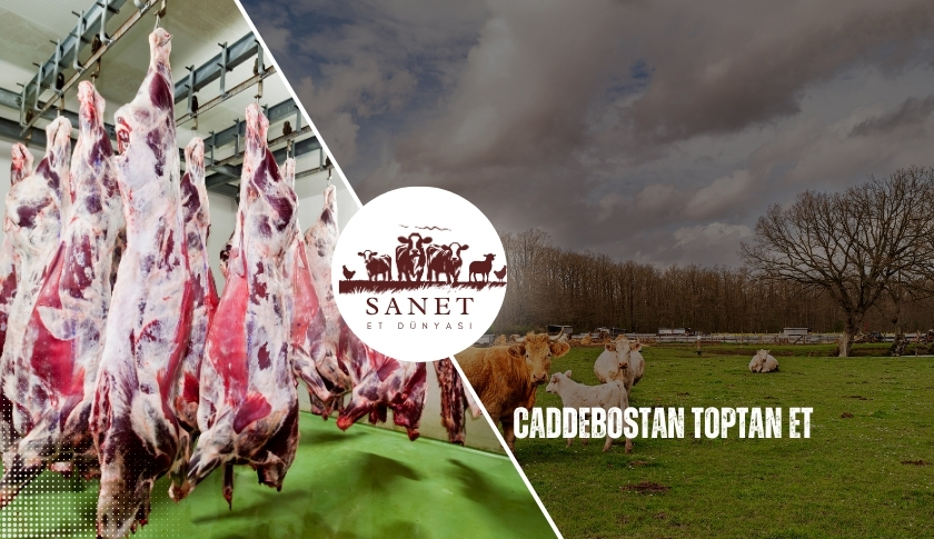 Caddebostan Toptan Et