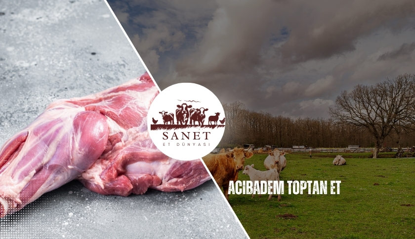 Acıbadem Toptan Et