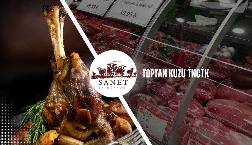 Toptan Kuzu İncik