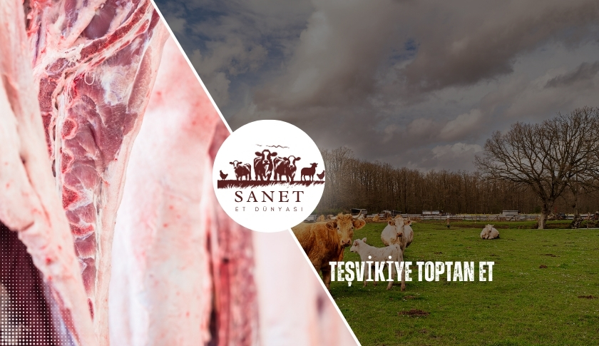 Teşvikiye Toptan Et
