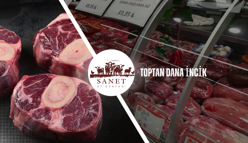 Toptan Dana İncik