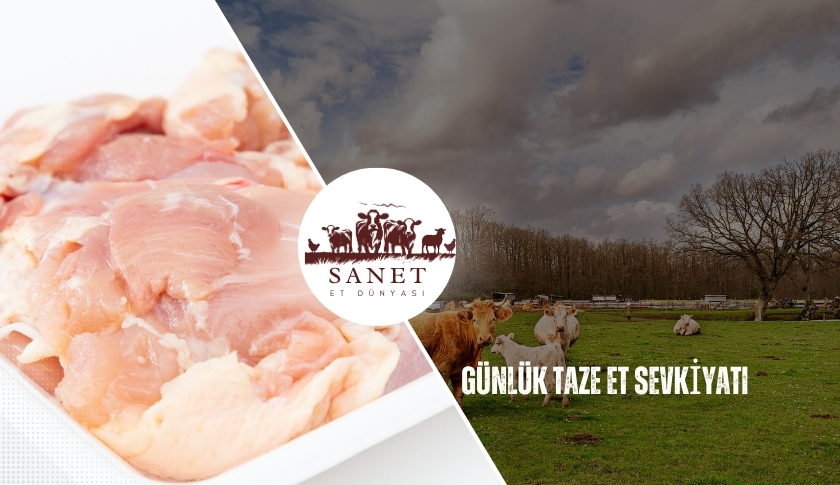 Günlük Taze Et Sevkiyatı