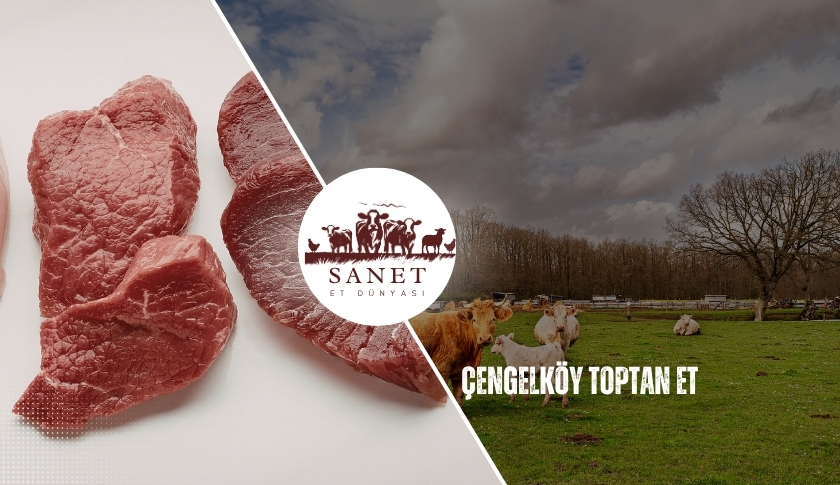 Çengelköy Toptan Et