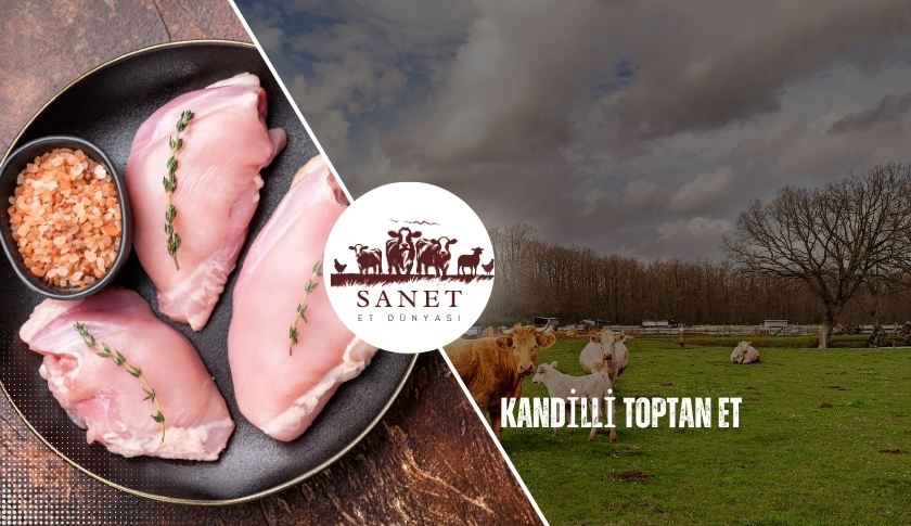 Kandilli Toptan Et