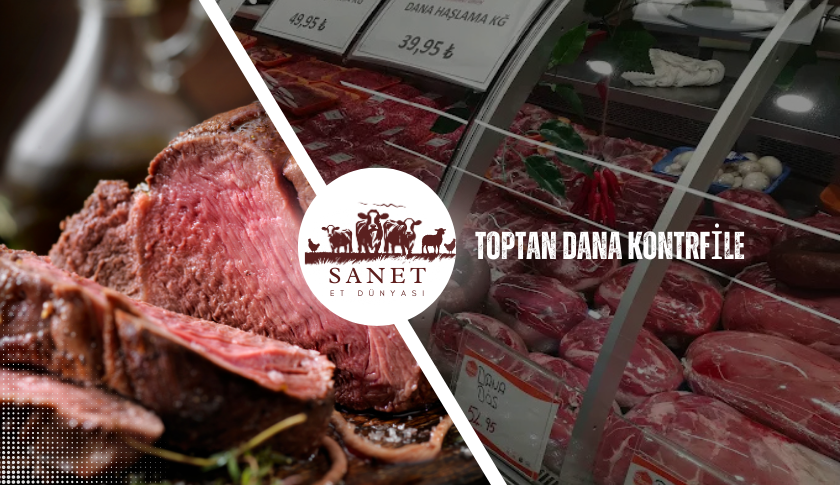 Toptan Dana Kontrfile