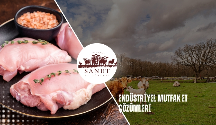 Endüstriyel Mutfak Et Çözümleri
