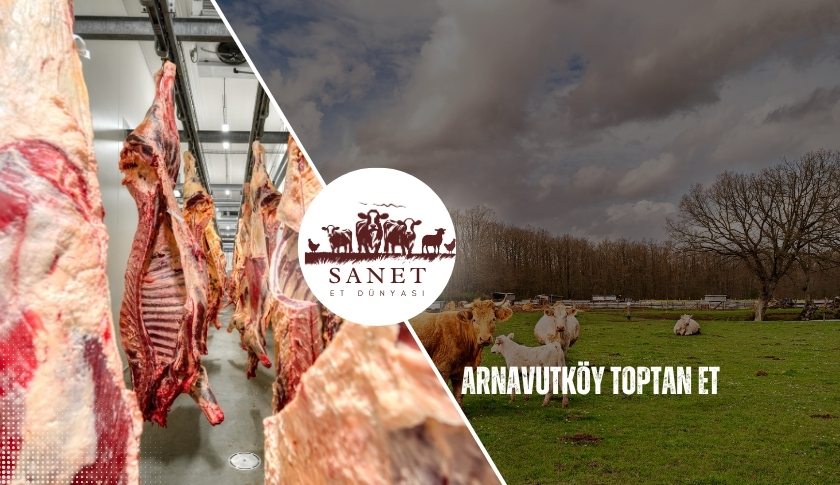 Arnavutköy Toptan Et