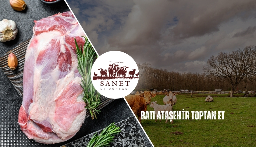Batı Ataşehir Toptan Et