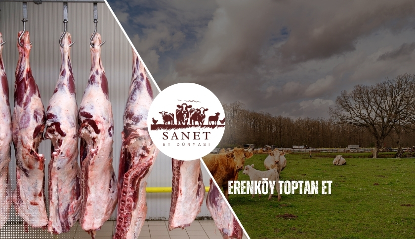 Erenköy Toptan Et