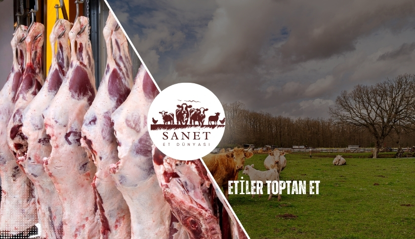 Etiler Toptan Et