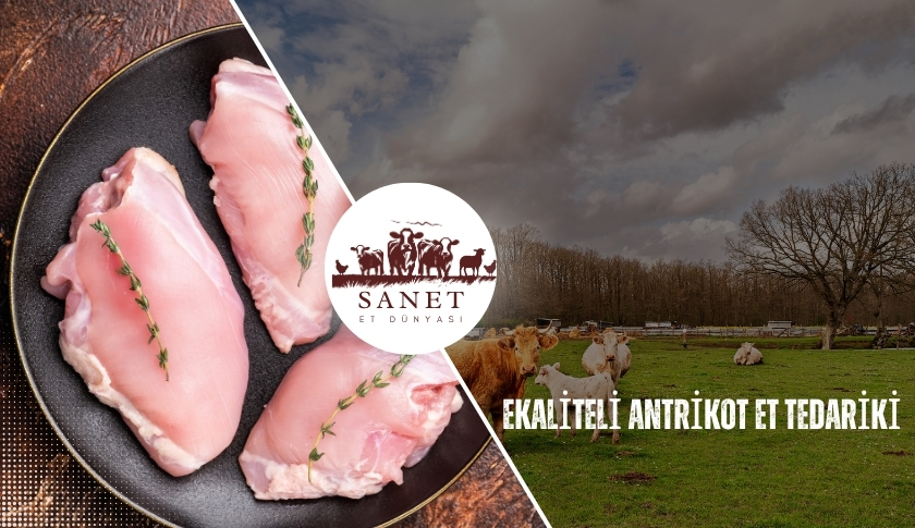 En Kaliteli Antrikot Tedariki