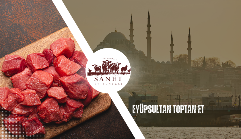 Eyüpsultan Toptan Et