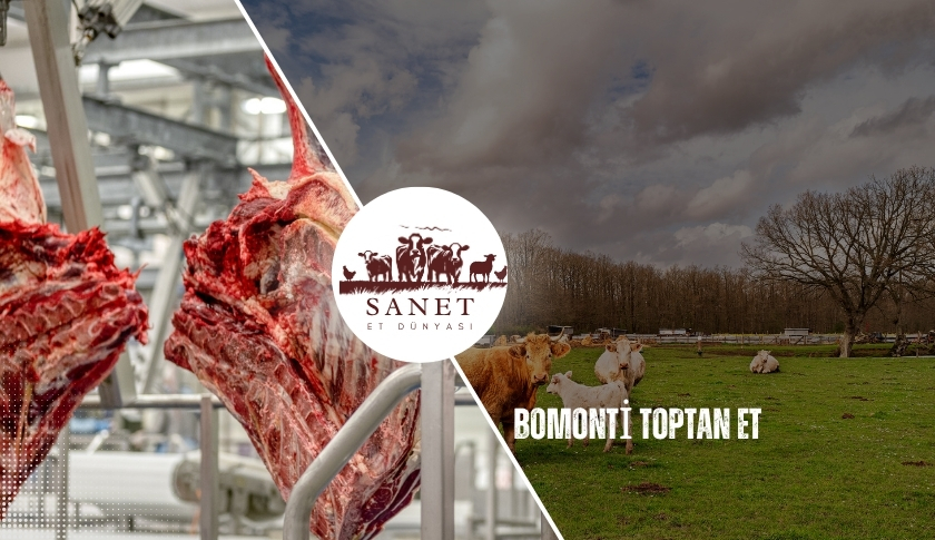 Bomonti Toptan Et