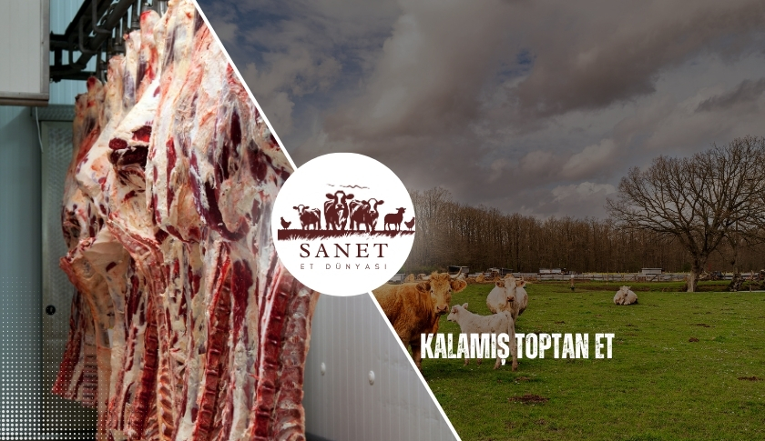 Kalamış Toptan Et