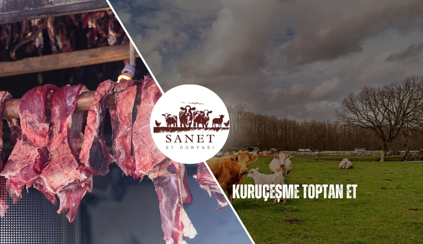 Kuruçeşme Toptan Et