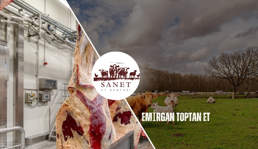 Emirgan Toptan Et