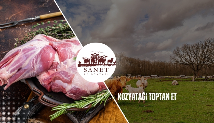 Kozyatağı Toptan Et