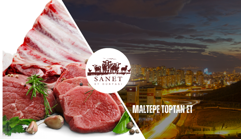 Maltepe Toptan Et